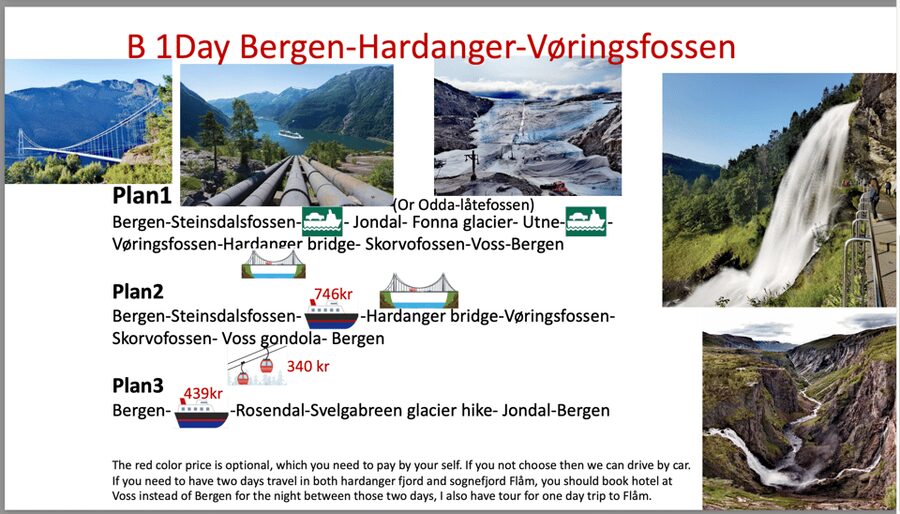 Flåm Flexible Tour with Stegastein, cruise and train include - Flåm Railway and the Fjord Cruise, the Signature Pair