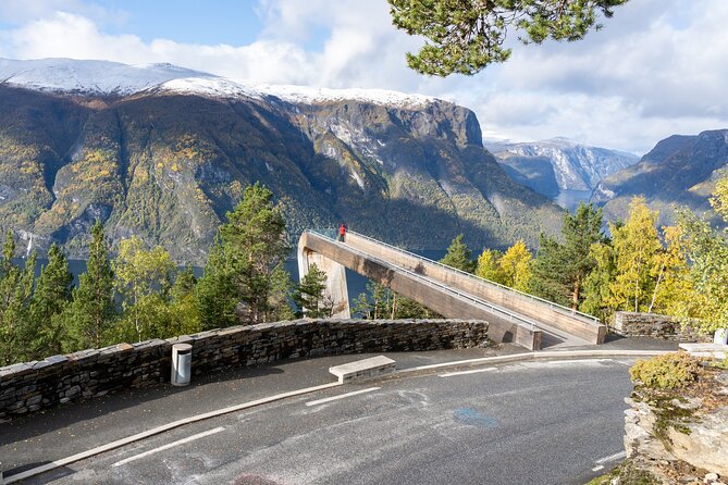 Flam: The Spectacular Stegastein Viewpoint Tour (Small Group) - Timing it with cruise days: the value of a fast, focused excursion