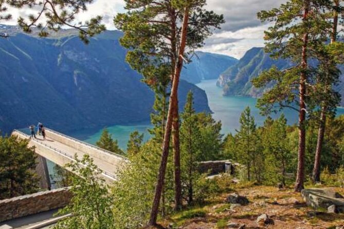 Flam: The Spectacular Stegastein Viewpoint Tour (Small Group) - Should you book the Flam Stegastein Small Group Tour?