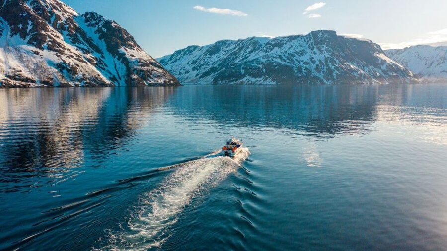 From Alta: Adventure Cruise in Alta Fjord - Key Things To Know Before You Go