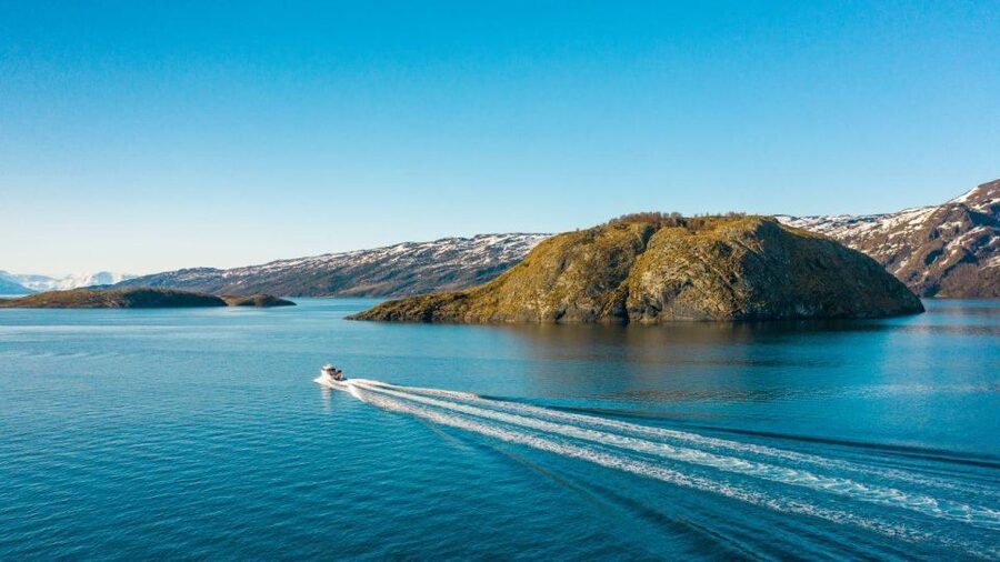 From Alta: Adventure Cruise in Alta Fjord - Alta Fjord at the Right Pace: Birds, Porpoises, and Big Wildlife Moments