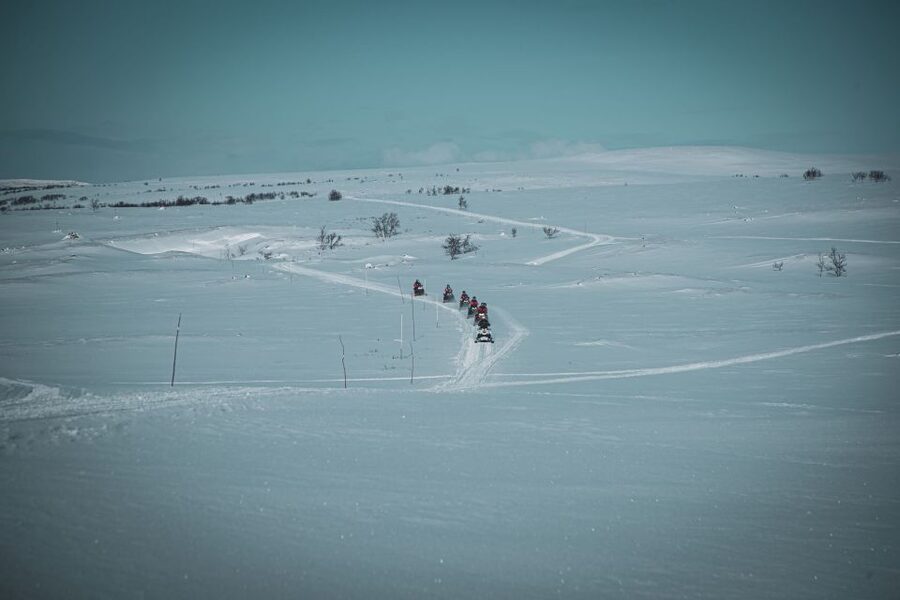 From Alta: Daytime Snowmobile Adventure - Key highlights that make this snowmobile day special