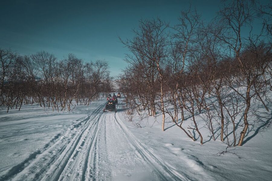 From Alta: Daytime Snowmobile Adventure - Logistics that matter on the day: timing, meeting point, language