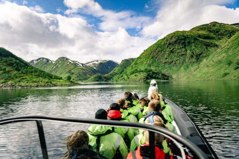 From Alta: Experience Seiland National Park - Key things to know before you go