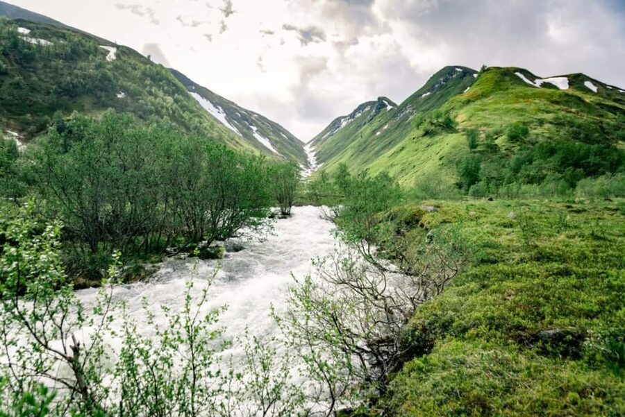 From Alta: Experience Seiland National Park - Price and value at $244 per person: what you are really paying for