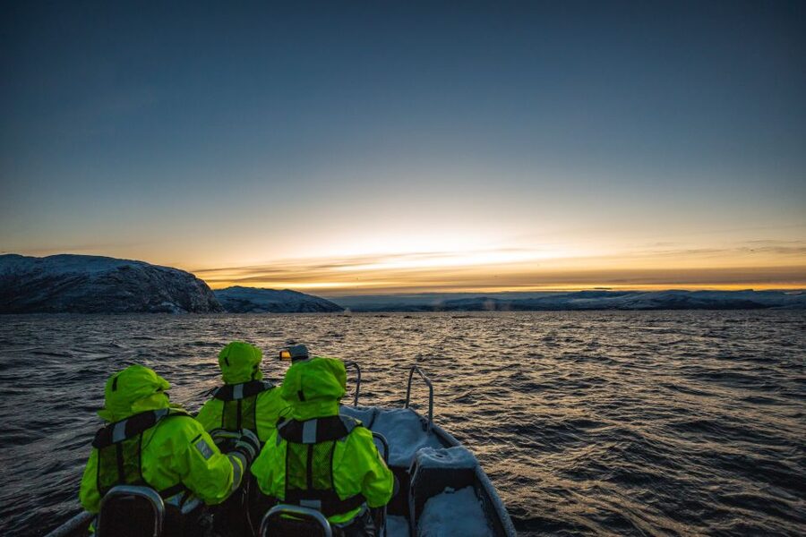 From Alta: Small Group Whale Watching by RIB - Alta’s winter whale timing, and why herring brings them in
