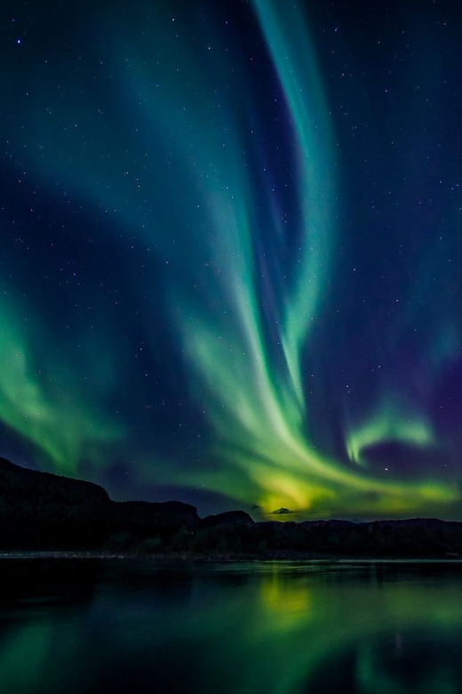 From Alta: Whale and Seabird Cruise - What the onboard comfort is really like in Arctic winter