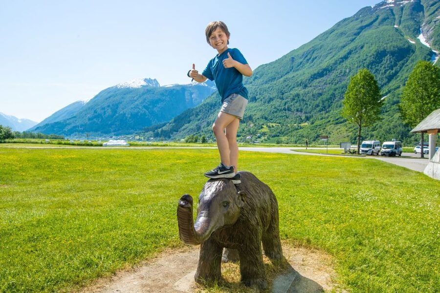 From Balestrand: Guided Fjord & Glacier Tour to Fjærland - How good is the experience if you have limited time in Balestrand?