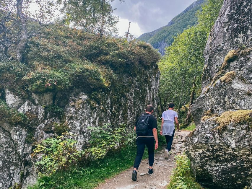 From Bergen: Folgefonna National Park & Glacier Lake Tour - Who This Tour Fits Best, and Who Might Want a Different Plan