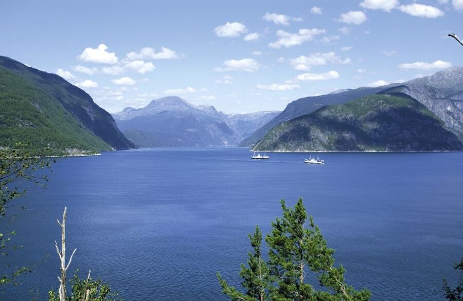 From Bergen: Private Trip to Hardangerfjord - Upper Hardangerfjord and the Hardangerfjord Bridge crossing
