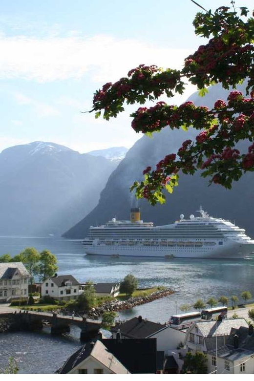 From Hellesylt: The Best of Geiranger Shore Excursion - Key points to know before you go