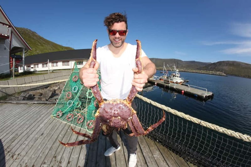From Honningsvåg: North Cape and King Crabs Tour - The North Cape visit: Nordkapphallen plus a real chunk of time