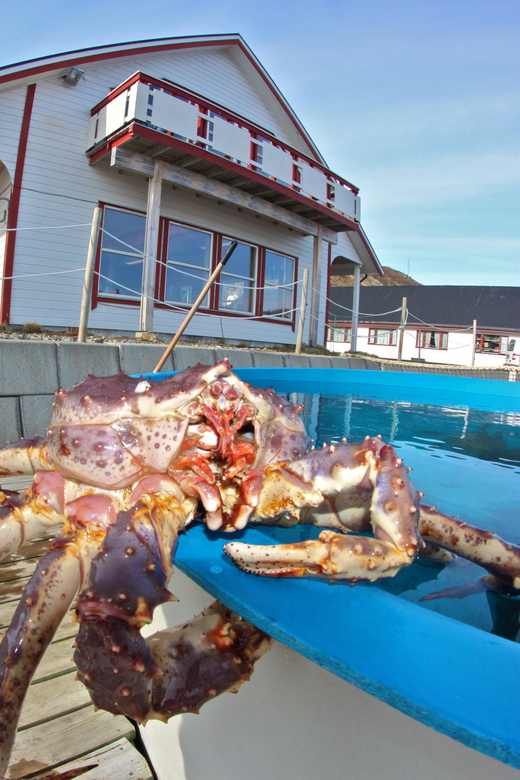From Honningsvåg: VIP North Cape and Kingcrab Tour - The VIP finish: certificate and sparkling wine or non-alcoholic drink