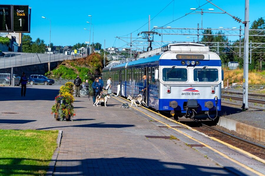 From Narvik: Roundtrip Arctic Train Ride on Ofoten Railway - Who Should Book This Arctic Train Ride