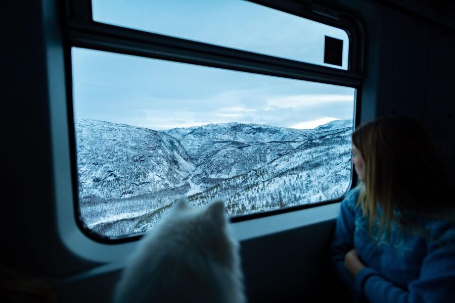 From Narvik: Roundtrip Arctic Train Ride on Ofoten Railway - The Ride Itself: Tunnels, Fjords, Waterfalls, and Steep Climbs