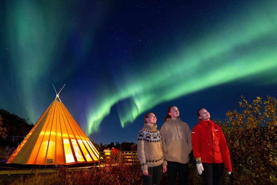 From Narvik: The Northern Lights Arctic Train Guided Tour - What’s included in the price, and how $142 usually feels in practice