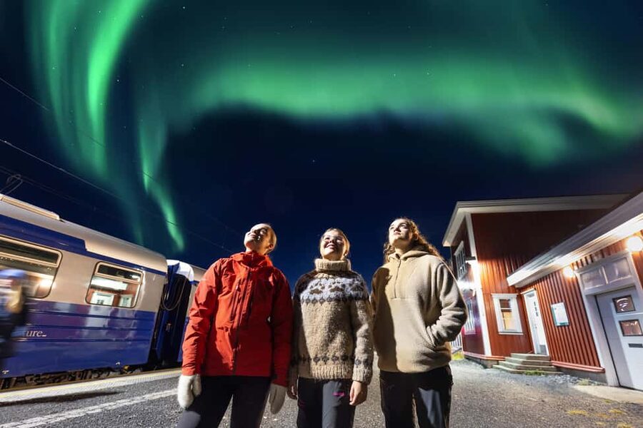 From Narvik: The Northern Lights Arctic Train Guided Tour - The 3 hour train and campfire flow, from Narvik station to the Arctic night