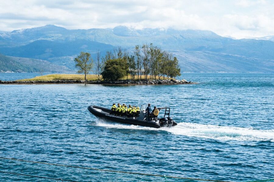 From Norheimsund: Hardangerfjord & Fyksesund RIB Fjord Tour - Season-by-Season: What Changes in Your 75 Minutes