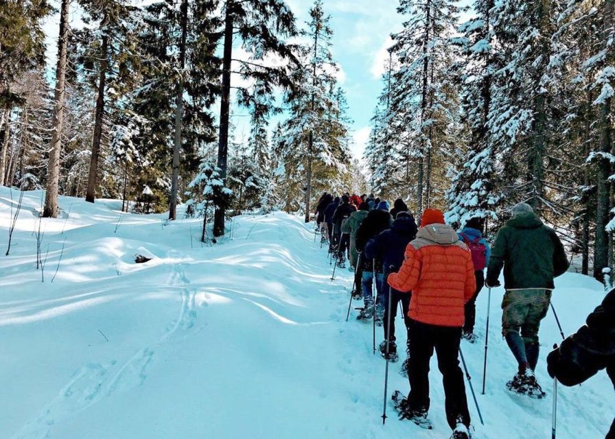 From Oslo: Oslomarka Forest Guided Snowshoeing Tour - Backstube Opera start, plus the Frognerseteren metro ride