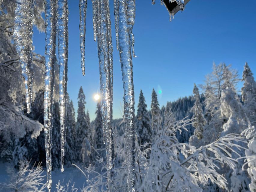 From Oslo: Oslomarka Forest Guided Snowshoeing Tour - Winter clothing reality: cold hands, waterproof pants, and weather surprises