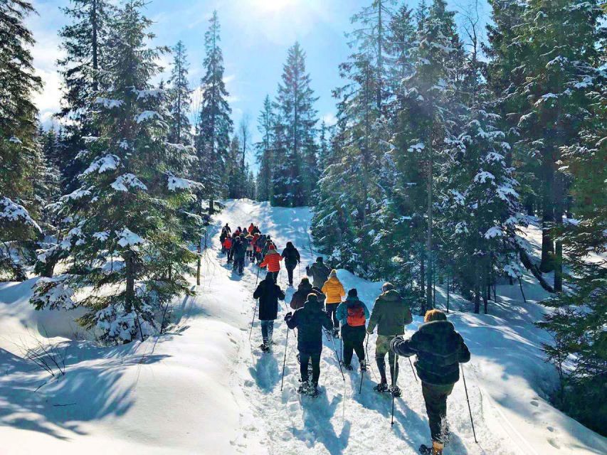 From Oslo: Oslomarka Forest Guided Snowshoeing Tour - What to do if snowshoeing is not possible