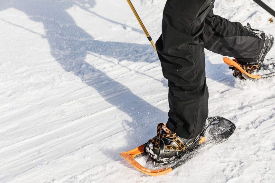 From Oslo: Oslomarka Forest Guided Snowshoeing Tour - Who should book, and who should skip this Oslo winter walk