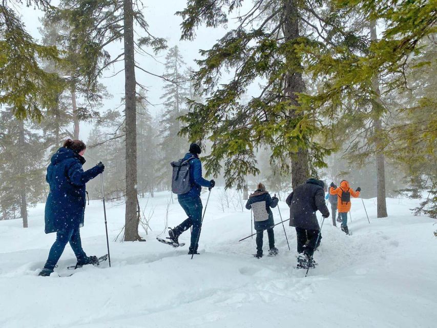 From Oslo: Oslomarka Forest Guided Snowshoeing Tour - Should you book this Oslo snowshoeing tour?
