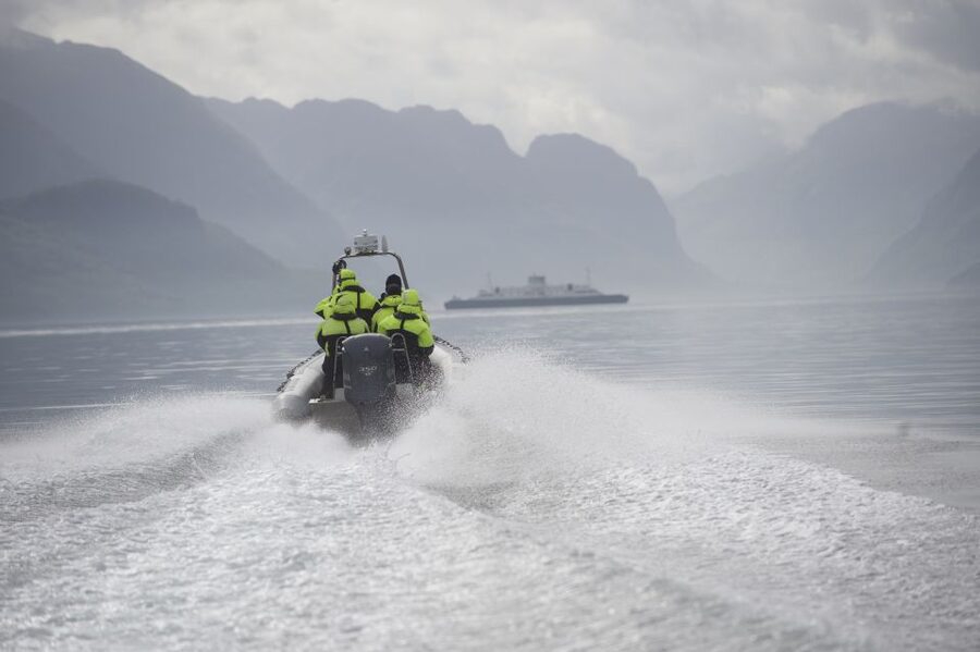 From Stavanger: RIB Tour to Lysefjord - Wildlife Spotting at Sea Level: Porpoises, Seals, Eagles