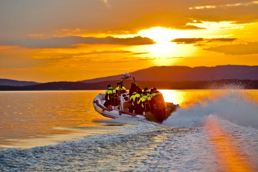 From Stavanger: RIB Tour to Lysefjord - Speed Across Lysefjord: Wind, Cliffs, and Sea-Level Views