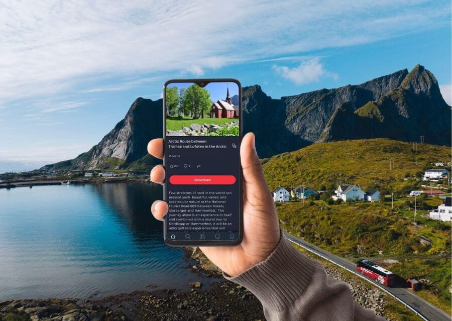 From Svolvær: Best of Lofoten Tour in One Day - Who This Tour Fits Best
