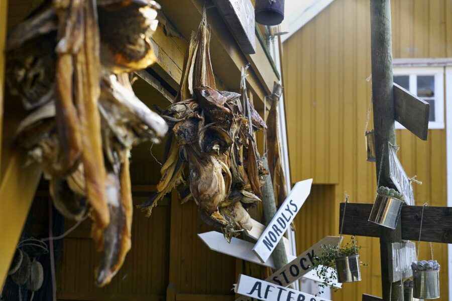 From Svolvær: Best of Lofoten Tour in One Day - Henningsvær: The Fishing Village Stop With Walk and Shopping Time
