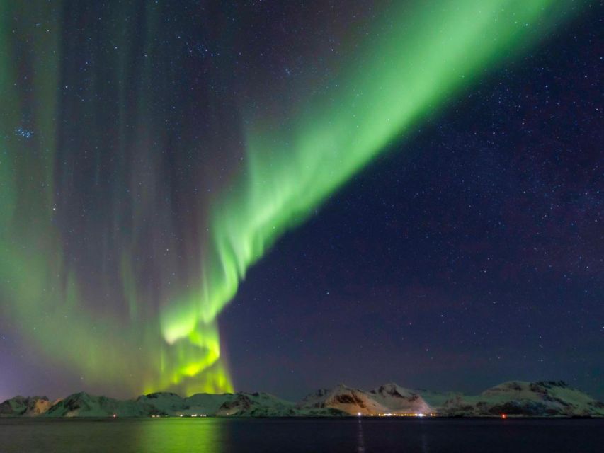 From Svolvær: Guided Northern Lights Tour by Van - Why a Svolvær Van Tour Beats DIY Aurora Chasing