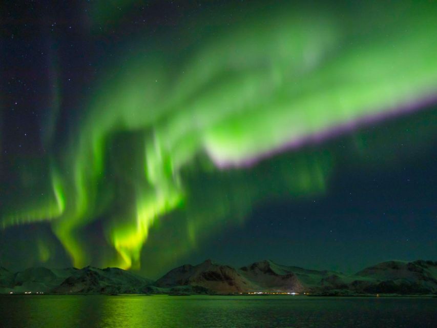 From Svolvær: Guided Northern Lights Tour by Van - Who This Aurora Tour Suits Best