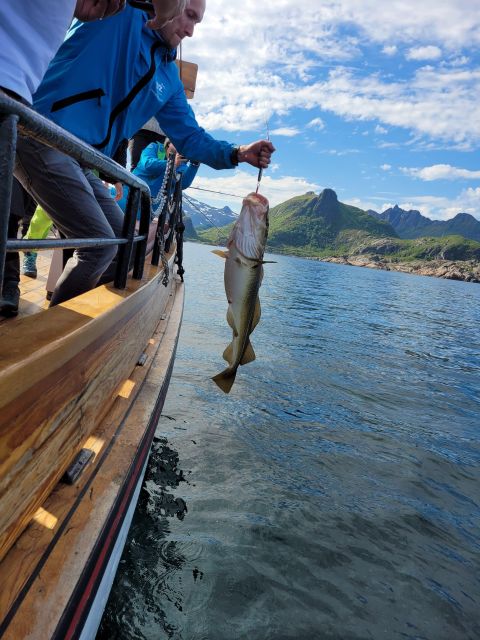 From Svolvaer: Lofoten Fishing Boat Cruise - Key Highlights You’ll Really Notice
