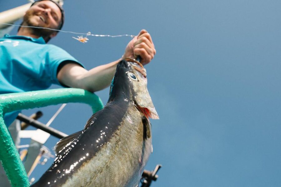 From Svolvaer: Lofoten Fishing Boat Cruise - The Coaching That Makes This a Good First-Time Fishing Trip