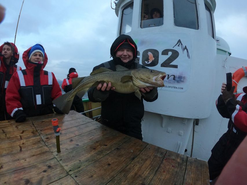 From Svolvaer: Lofoten Fishing Boat Cruise - Should You Book the Svolvær to Lofoten Fishing Boat Cruise?