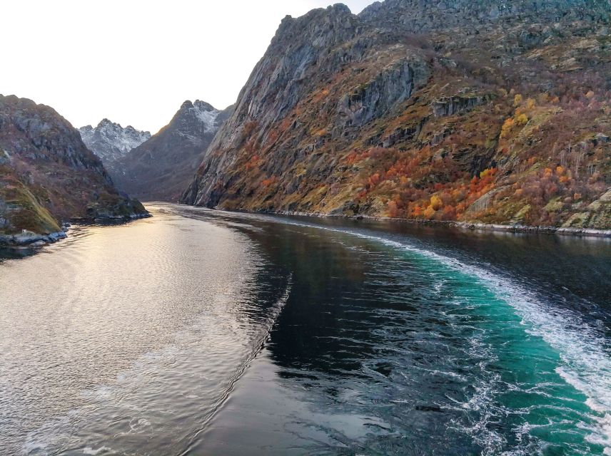 From Svolvær: Lofoten Islands Silent Trollfjord Cruise - Fiskerkona: your first look at Lofoten’s coastal character