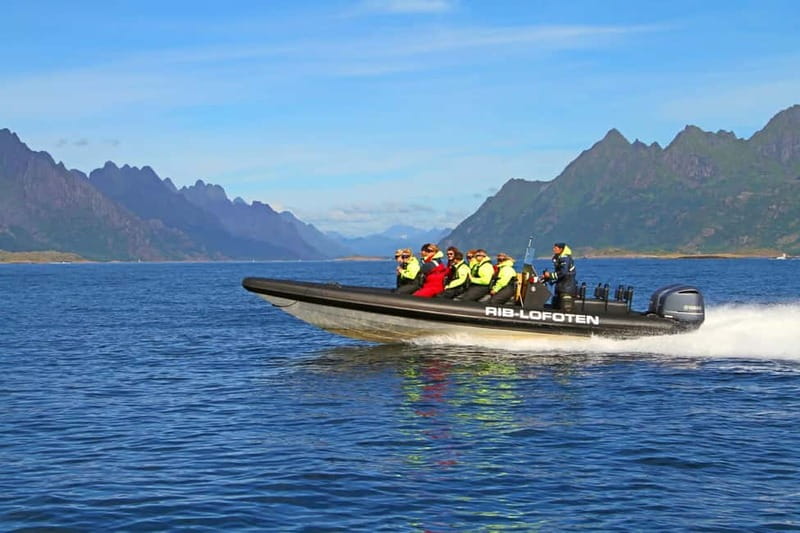 From Svolvær: Lofoten RIB Sea Eagle Safari Trollfjord Cruise - Torget meeting point in Svolvær: quick start, easy to find