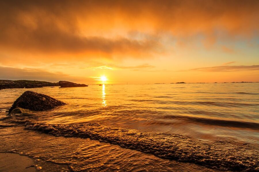 From Svolvær: Midnight sun tour with a photographer - Price and value: what you get for $198 per person