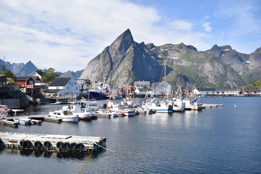 From Svolvaer: Private Lofoten Islands Tour with Transfer - Skrei and Stockfish, the Story Behind What You’re Seeing