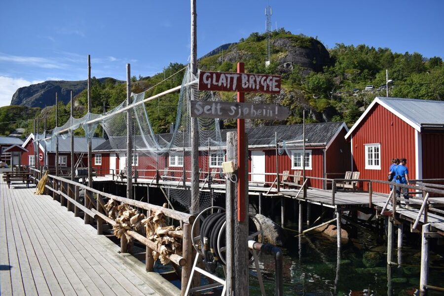 From Svolvaer: Private Lofoten Islands Tour with Transfer - How the Photo Stops and Photo Service Fit Your Day