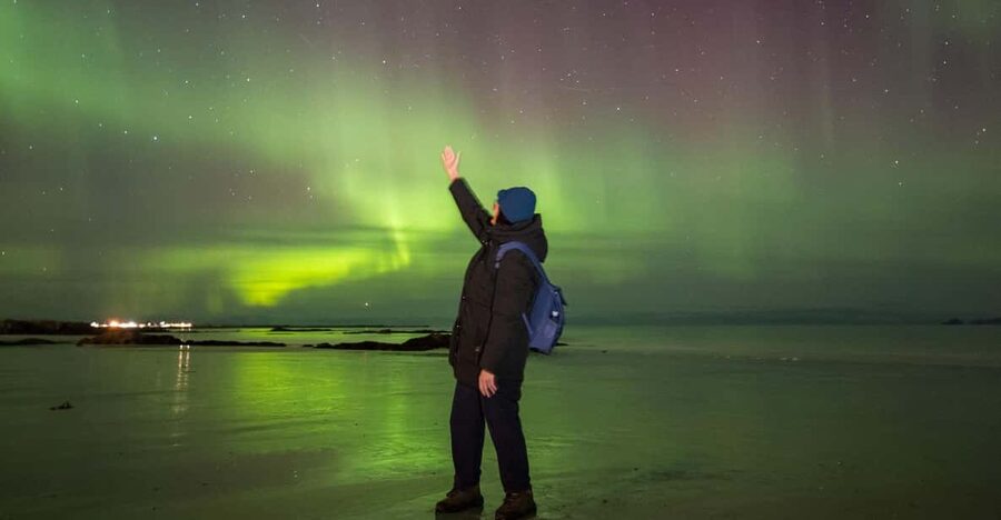 From Svolvaer: Private Northern Lights Search Trip - Key highlights you should know