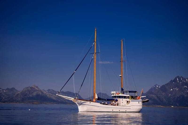 From Svolvær: Taste of Lofoten - Cultural Fishing Experience - Who should book Taste of Lofoten in Svolvær?