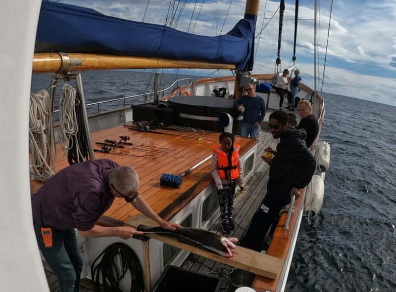 From Svolvær: Taste of Lofoten - Cultural Fishing Experience - Fishing in Vestfjorden: why this yacht outing hits the right notes