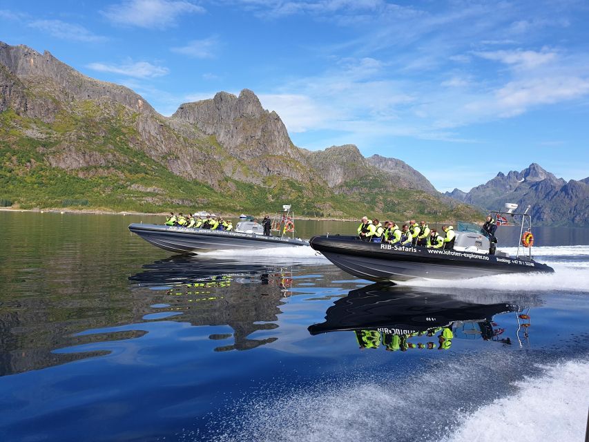 From Svolvaer: Trollfjorden Wildlife RIB Cruise - Key things you’ll notice on this Trollfjord Wildlife RIB cruise