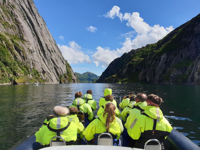 From Svolvaer: Trollfjorden Wildlife RIB Cruise - From Svolvær to Øyhellsundet, the ride starts immediately