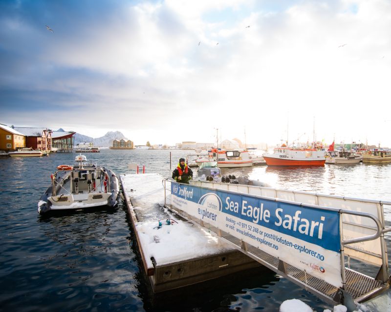 From Svolvaer: Trollfjorden Wildlife RIB Cruise - FAQ