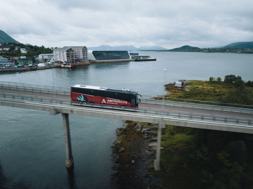From Svolvær: Whale Watching Day Trip to Andenes - Price and How the 14 Hours Get Worth It