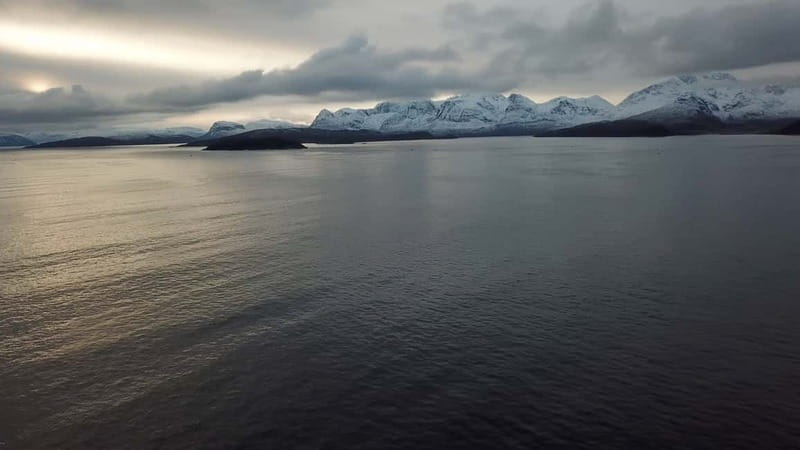 From Tromsø: All-Inclusive Whale & Orca Safari - Who this Tromsø whale and orca safari is best for