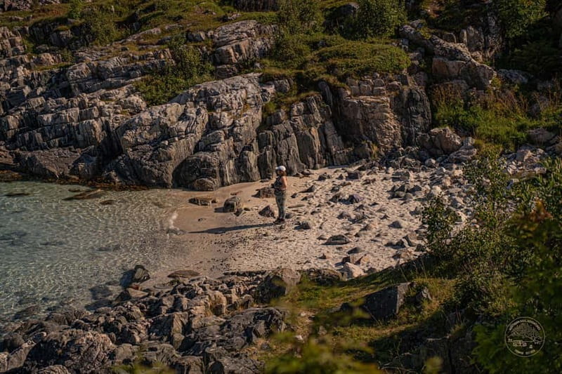 From Tromsø: Arctic Roadtrip: fjords tour with scenic picnic - Key highlights worth getting excited about